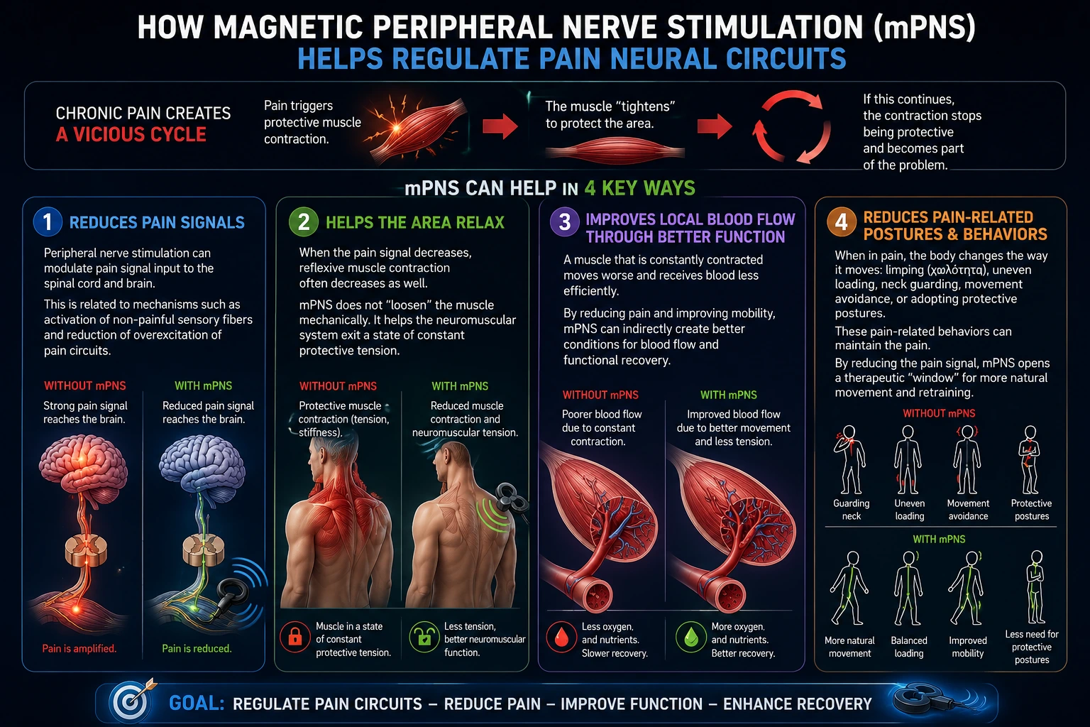 How Magnetic Peripheral Nerve Stimulation (mPNS) helps regulate pain nerve circuits